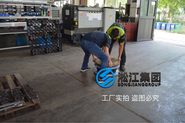 DN250-PN16-RF，材质EPDM橡胶接头