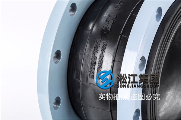 上海水（消防上用）DN250-10可曲绕单球体橡胶接头